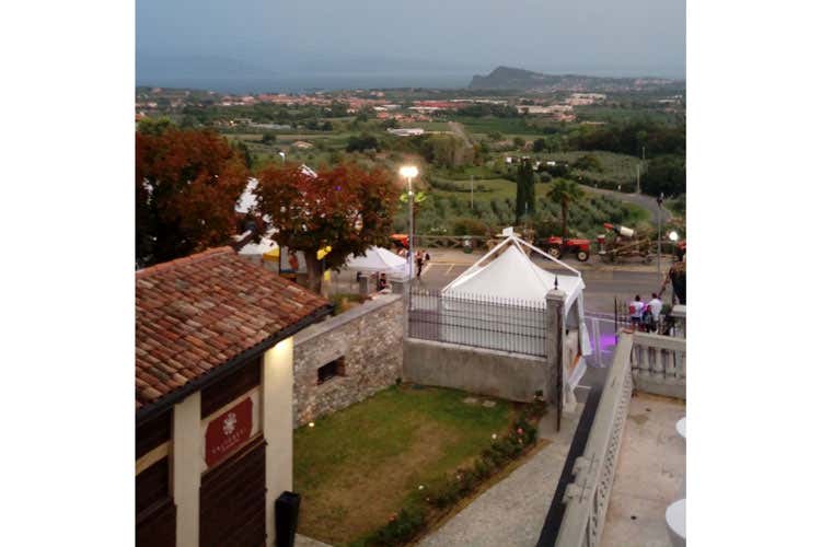 Valtenesi, sarà una vendemmia di qualità Per il primo anno, un'etichetta unica Valtenesi, sarà una vendemmia di qualità Per il primo anno, un'etichetta unica