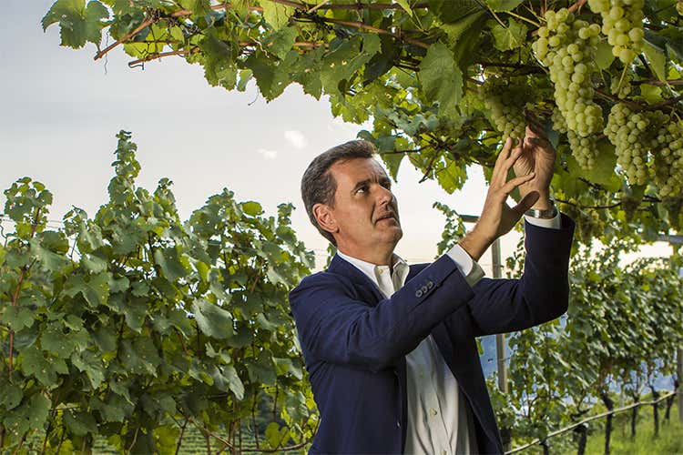 Marcello Lunelli