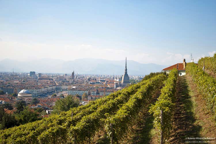 (La Vendemmia a Torino La tradizione enologica sotto la Mole) (La Vendemmia a Torino La tradizione enologica sotto la Mole)