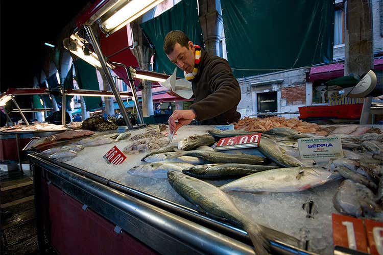 Venezia, mercati di pesce fresco a rischio Irina Freguia: «Più tutela per la qualità» Venezia, mercati di pesce fresco a rischio Irina Freguia: «Più tutela per la qualità»