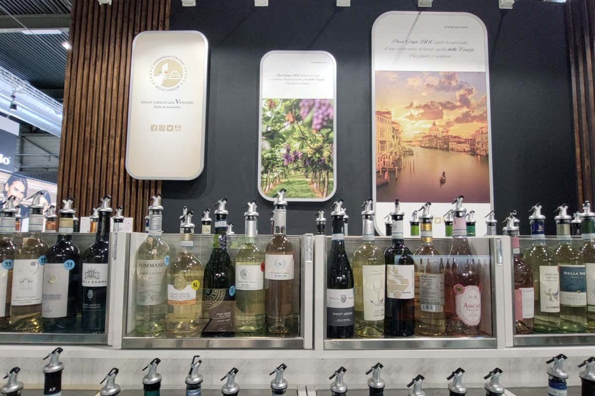 La Doc delle Venezie ricopre oggi un ruolo di tale importanza nella valorizzazione del patrimonio vitivinicolo del Belpaese nel mondo Consorzio di Tutela Vini Doc delle Venezie lo stile unico del Pinot grigio a Verona
