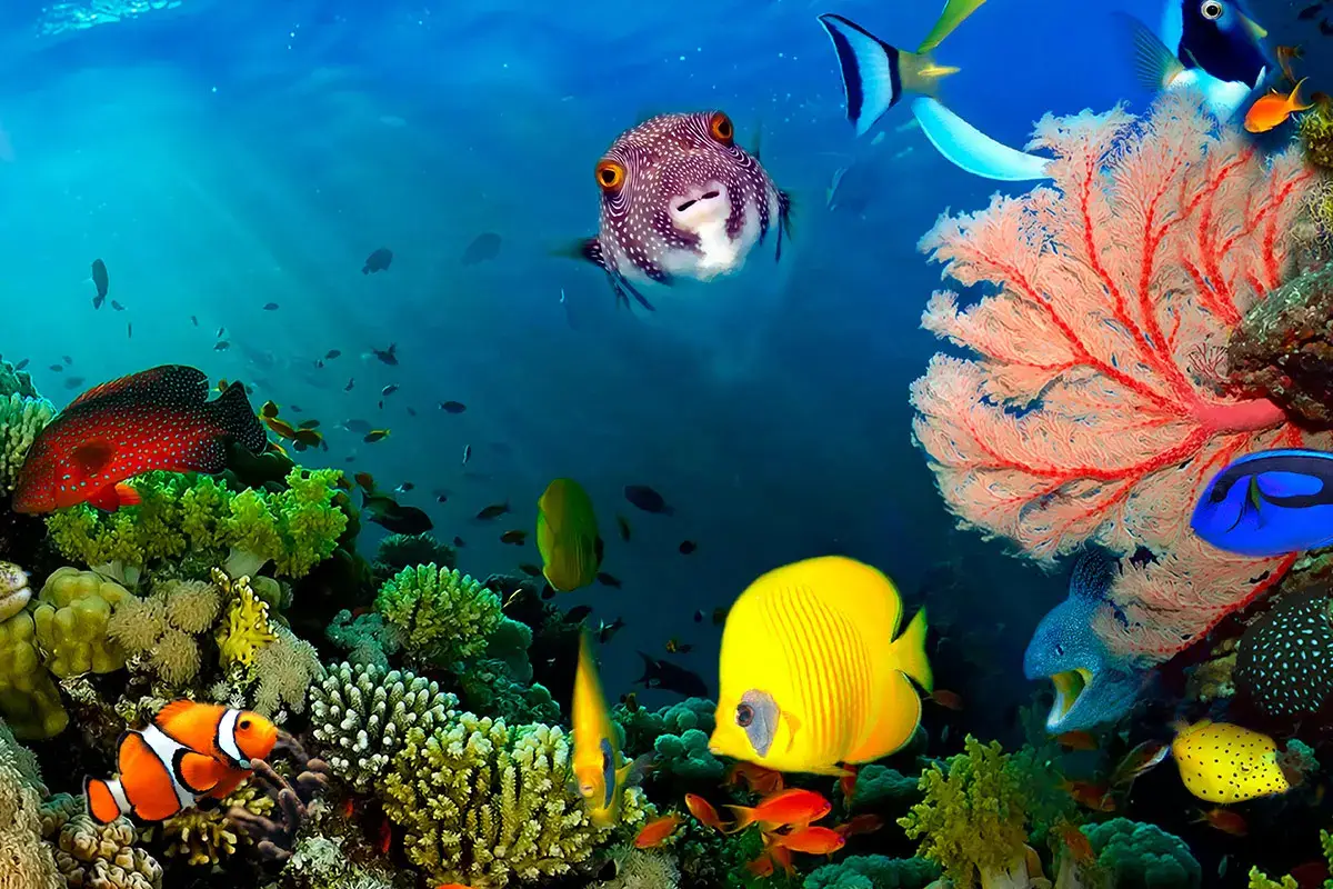 Fauna marina e coralli Marsa Alam: meta da sogno tra storia, natura e divertimento