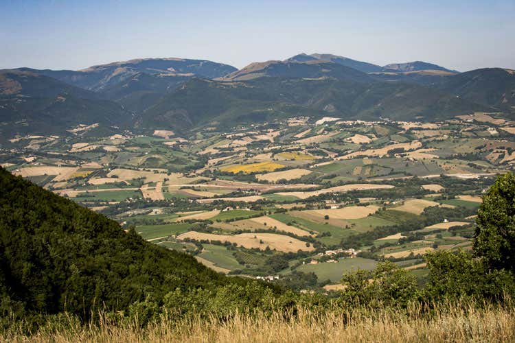 Verdicchio di Matelica Doc Per i 50 anni, 2 giorni di festeggiamenti Verdicchio di Matelica Doc Per i 50 anni, 2 giorni di festeggiamenti