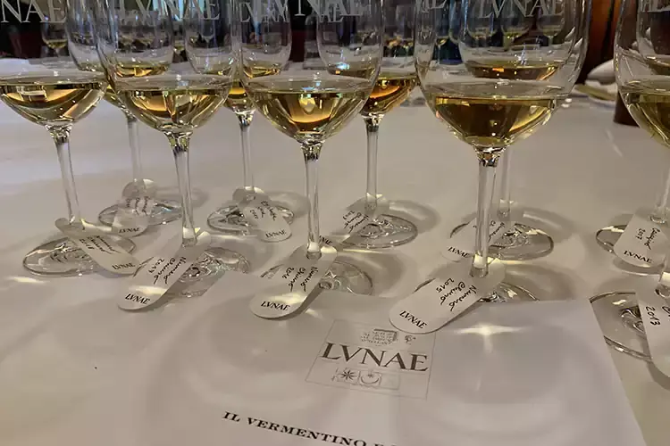 Vermentino Numero Chiuso, un vino che sa invecchiare Numero Chiuso, il Vermentino che segue il tempo