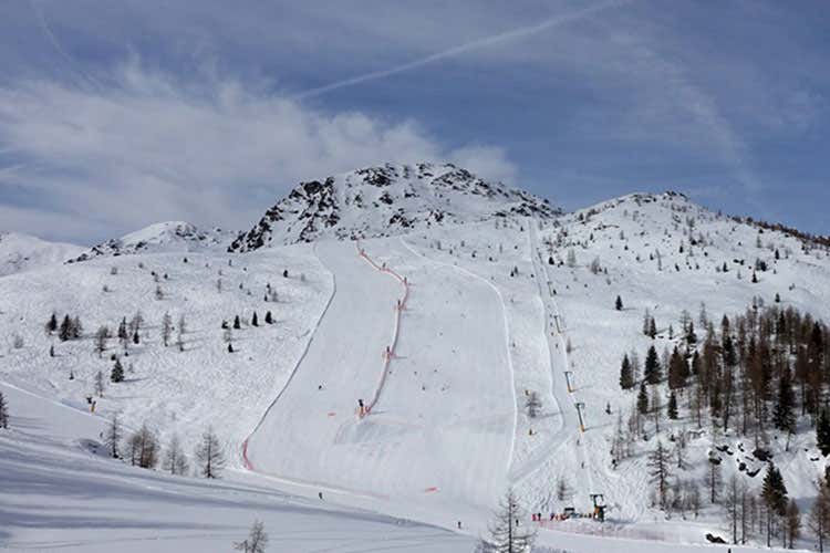 La pista Cigolera (Via alla Seggiovia Cigolera Plus di S.Martino di Castrozza) La pista Cigolera (Via alla Seggiovia Cigolera Plus di S.Martino di Castrozza)