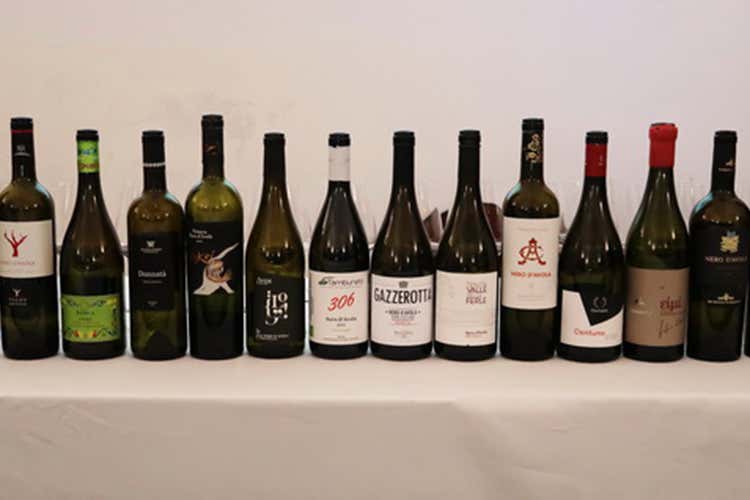 (Vigen, spicca il Nero d’Avola Una masterclass con 18 vini) (Vigen, spicca il Nero d’Avola Una masterclass con 18 vini)