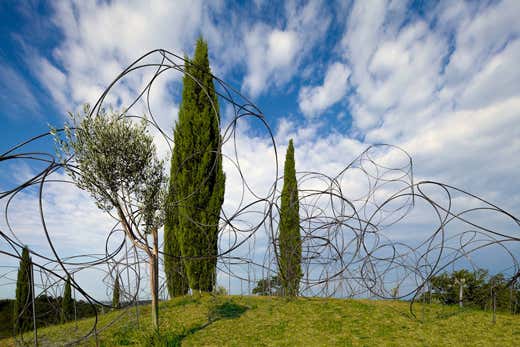 Vigne Museum (foto: Luigi Vitale) Vigne Museum (foto: Luigi Vitale)