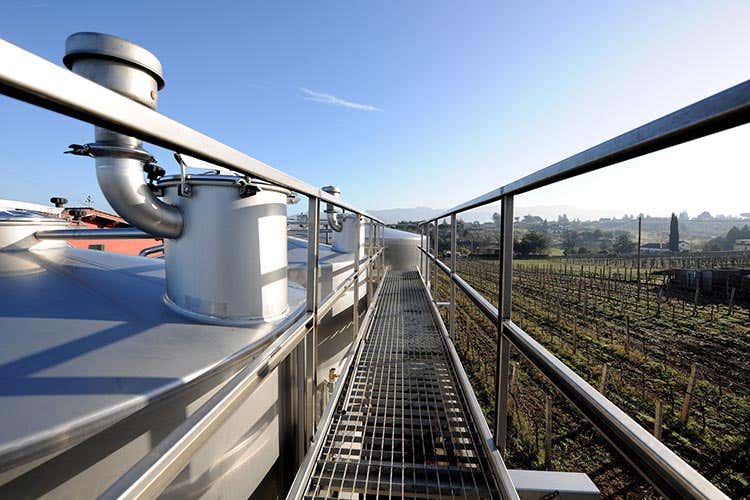 (Vigne di Roma, 14 aziende insieme per valorizzare i vini del Lazio) (Vigne di Roma, 14 aziende insieme per valorizzare i vini del Lazio)