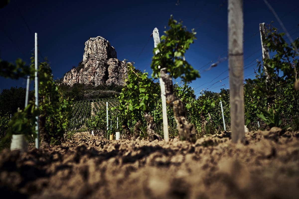 [[Tour de la gastronomie]] Vino, mostarda, ribes e non solo: Borgogna terra di eccellenze