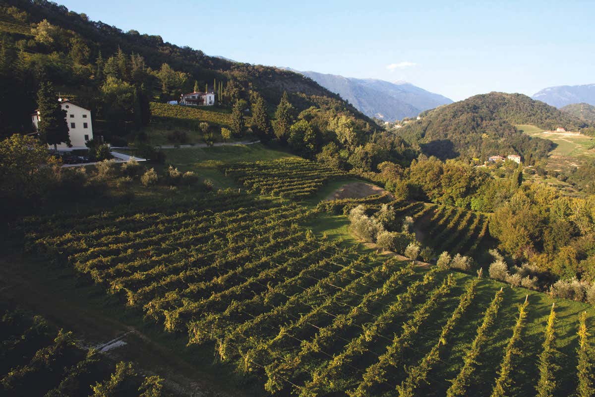 Tenuta Ville d'Arfanta: ospitalità e vini spumanti di eccellenza di Serena Wines 1881