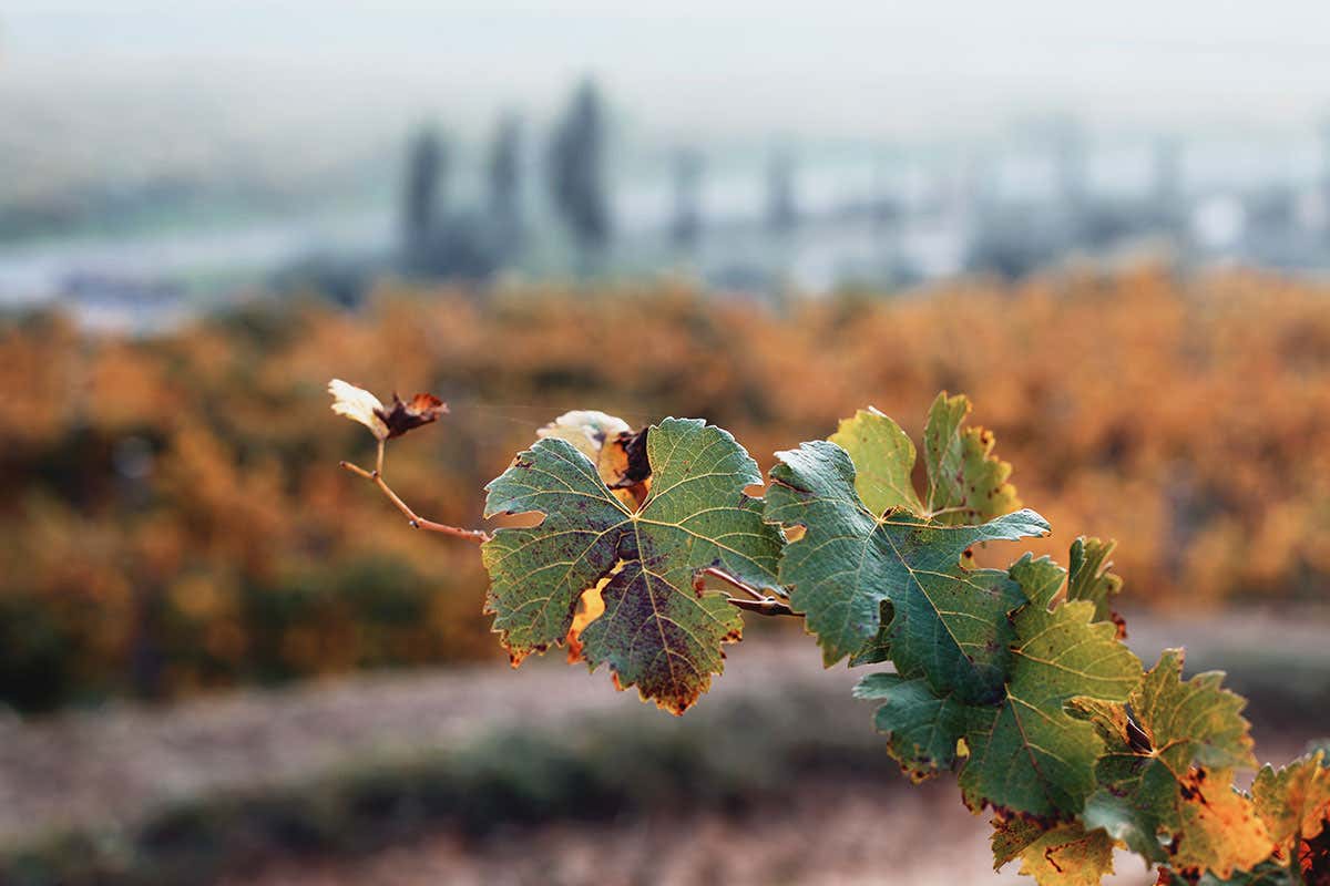 Villa Franciacorta d'inverno