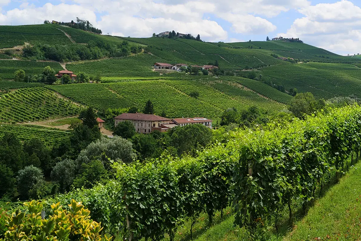Nel cuore delle Langhe