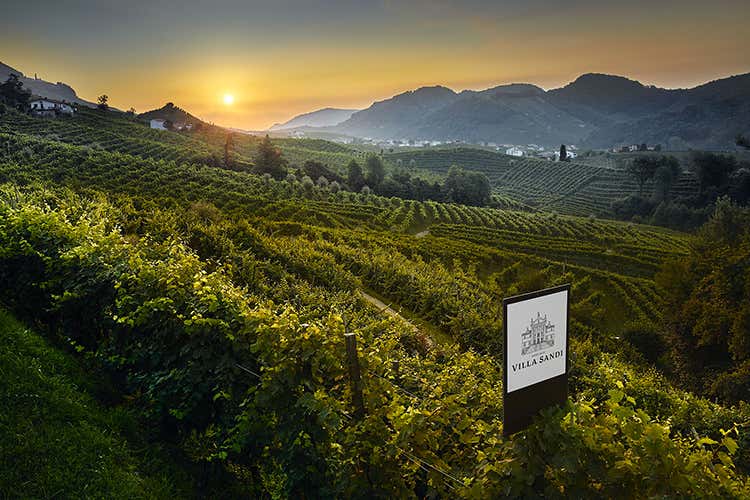 Villa Sandi, vendite on line in rialzo Gdo, balzo in avanti per Pasqua