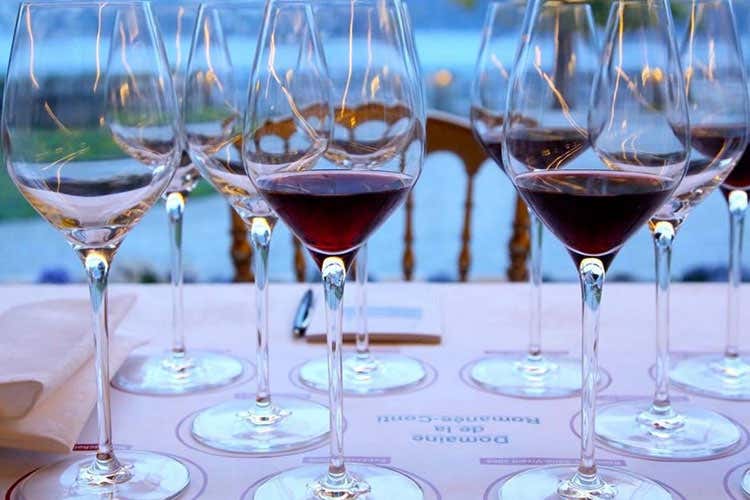 Villa d’Este Wine Symposium 2017 Focus sulla sostenibilità nei vigneti