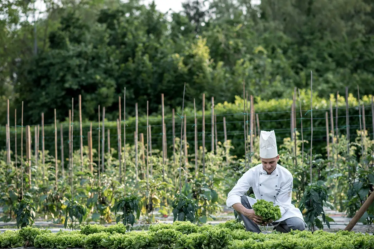 Romantik Hotel Villa Margherita Cosa “cresce” al ristorante? I migliori locali italiani con l’orto