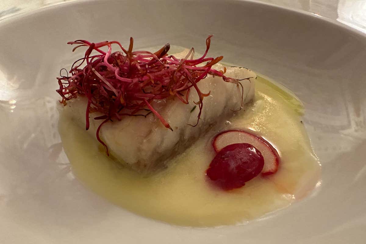 Villa Barbarich, dal Cinquecento elegante oasi di pace a due passi da Venezia