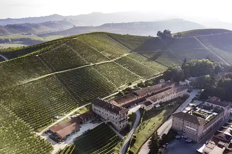 Il Villaggio Narrante Fontanafredda a Serralunga d'Alba (Cn) Festa della Vendemmia, blend di tradizione e innovazione