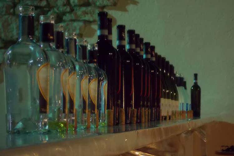 Vinalia 2017, 13 cantine in vetrina Incontri e degustazioni di vini e tipicità Vinalia 2017, 13 cantine in vetrina Incontri e degustazioni di vini e tipicità