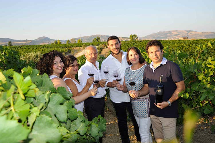 (Vini Vaccaro, profumi di Sicilia)