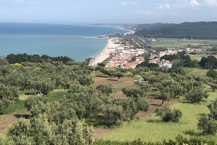 Veduta del litorale abruzzese (Vini d’Abruzzo, il salto di qualità Export 2018  in crescita del 6,4%)