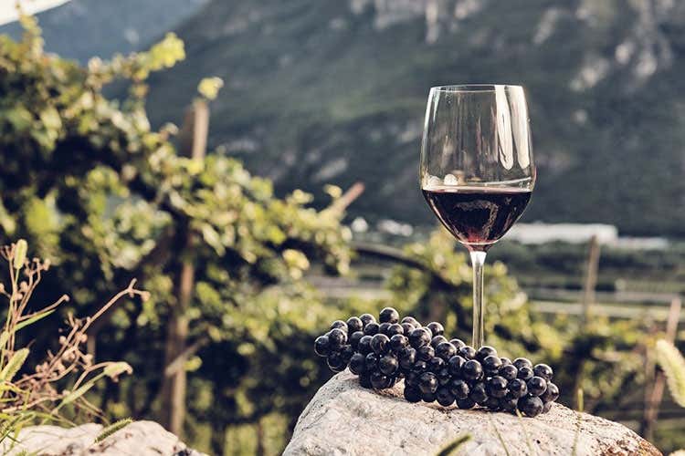 Vini e castelli in Vallagarina Al via il progetto Enotur Lab Vini e castelli in Vallagarina Al via il progetto Enotur Lab