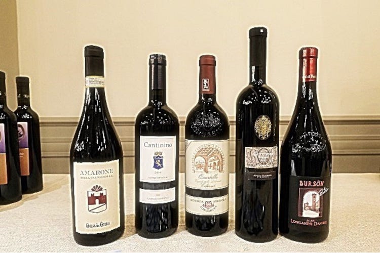 I cinque vini rossi dell'annata 2016 protagonisti della singolar tenzone Bagnacavallo il Bursòn sfida il mondo