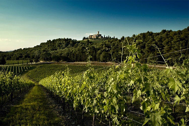 Vinitaly, prima edizione per 5Stars Wines 458 vini, Banfi migliore cantina dell'anno