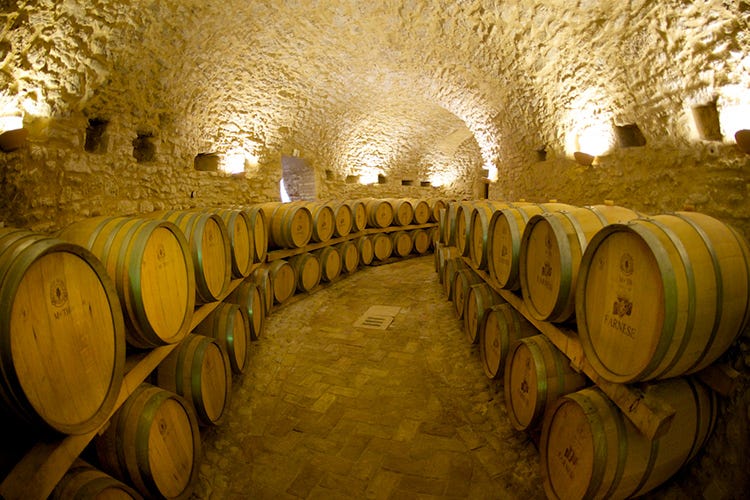 I vini Farnese vengono esportati in 80 Paesi in tutto il mondo (Vino, Farnese ceduta all'americana Platinum Equity)
