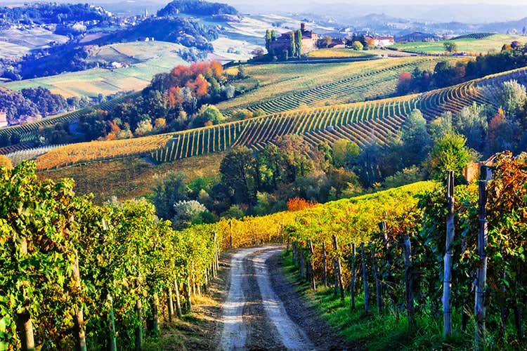 Il vino toscano pronto a richiamare gli enoturisti nel 2021 - La Toscana fa da apripista al rilancio dell'enoturismo Il vino toscano pronto a richiamare gli enoturisti nel 2021 - La Toscana fa da apripista al rilancio dell'enoturismo
