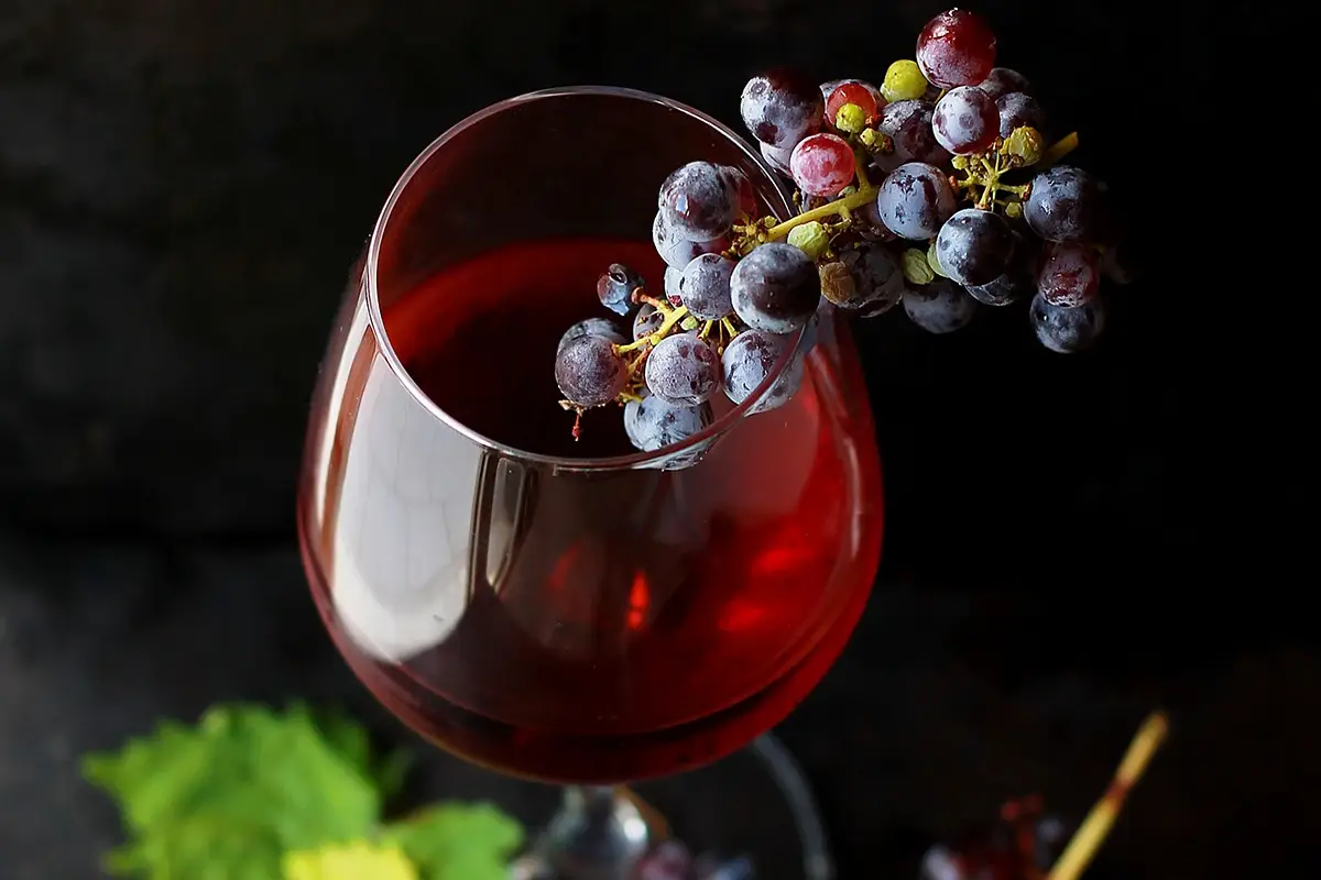 Lungo le strade del vino dell'Abruzzo Sei da vino, birra o cioccolato? C’è un viaggio per te in Veneto, Abruzzo e Sicilia