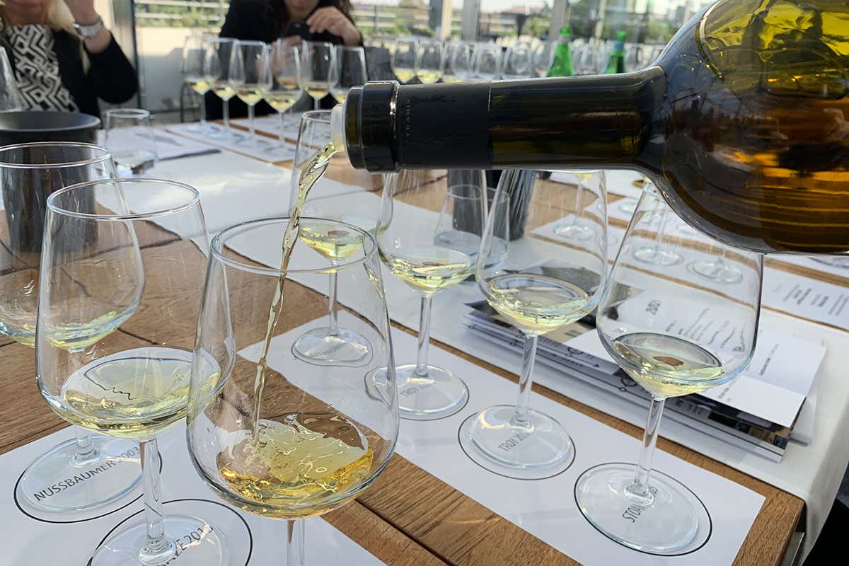 I colori del servizio Willi St&uuml;rz, trent&rsquo;anni di vendemmie con Cantina Tramin