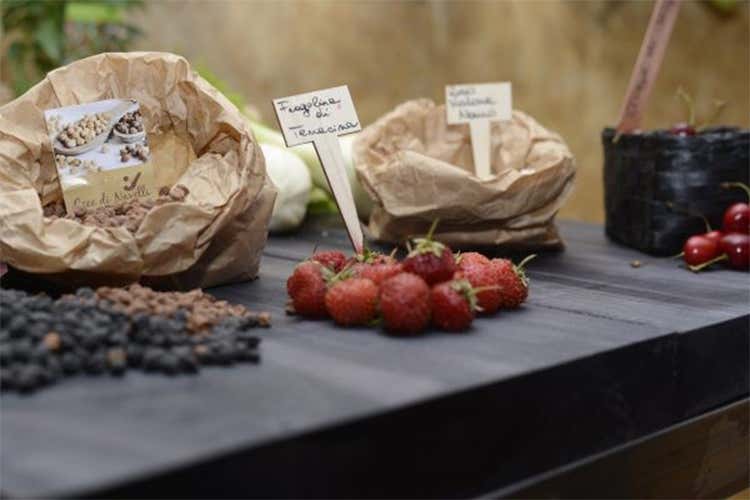 Vin&ograve;forum, nel vivo della kermesse Maestri di cucina e oltre 2.500 vini