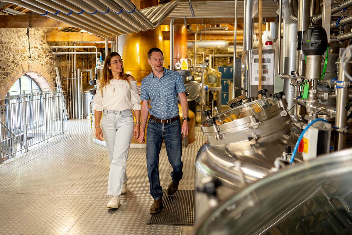 Tour tra alambicchi e botti: visitare una distilleria significa entrare nel cuore della tradizione britannica