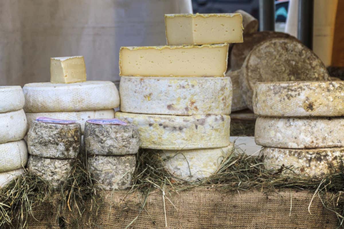 Viaggio in Valsesia: alla scoperta di storia, natura e sapori autentici