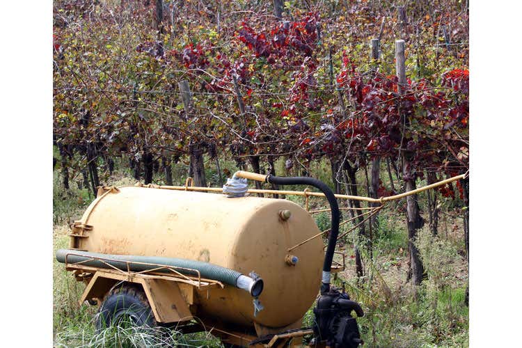 Viticoltori toscani in allarme Richiesta d’aiuto al Ministro Martina Viticoltori toscani in allarme Richiesta d’aiuto al Ministro Martina