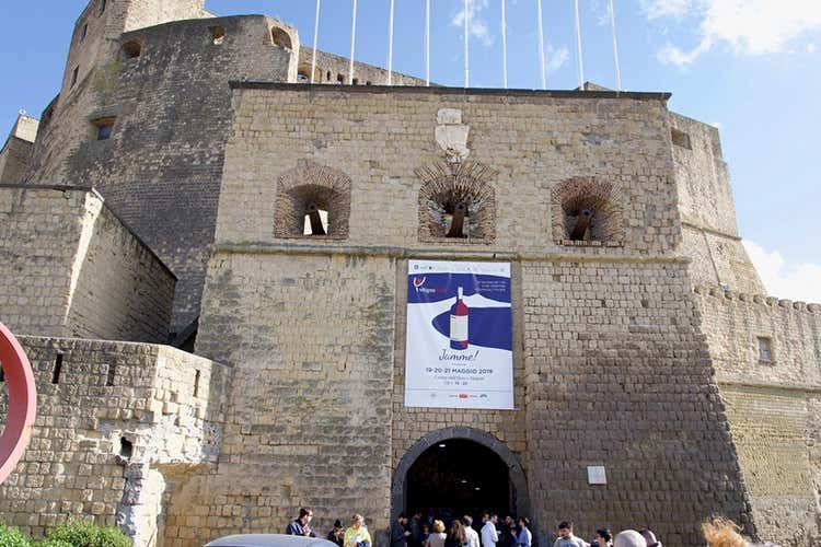 (VitignoItalia chiude con il botto Oltre 18mila le presenze) (VitignoItalia chiude con il botto Oltre 18mila le presenze)