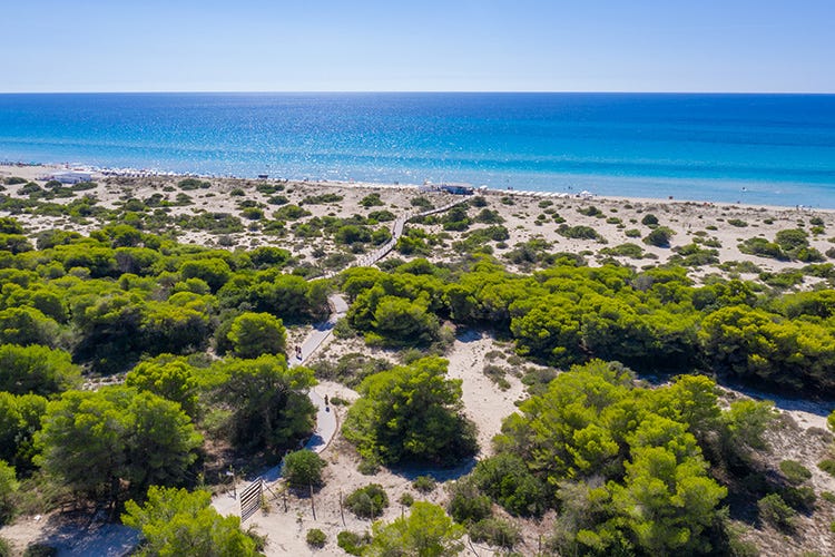 Da un parco di 23 ettari si raggiunge la spiaggia privata Salento, Vivosa Apulia Resort Una ripartenza alla grande