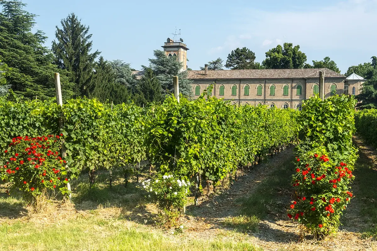 . Dal 14 al 16 maggio il Castello Visconteo della citt&agrave; ospiter&agrave; la prima edizione di Iria Vinum Voghera capitale del gusto con la prima edizione di Iria Vinum
