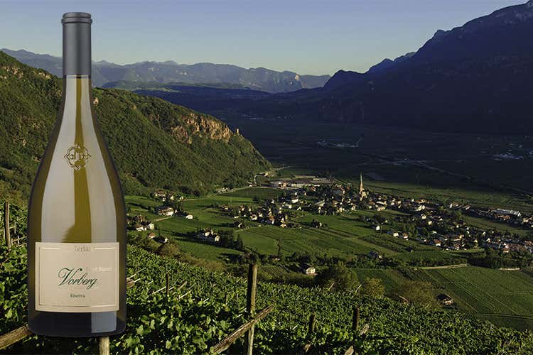 Vorberg Riserva di Cantina Terlano Il Pinot Bianco sa invecchiare Vorberg Riserva di Cantina Terlano Il Pinot Bianco sa invecchiare