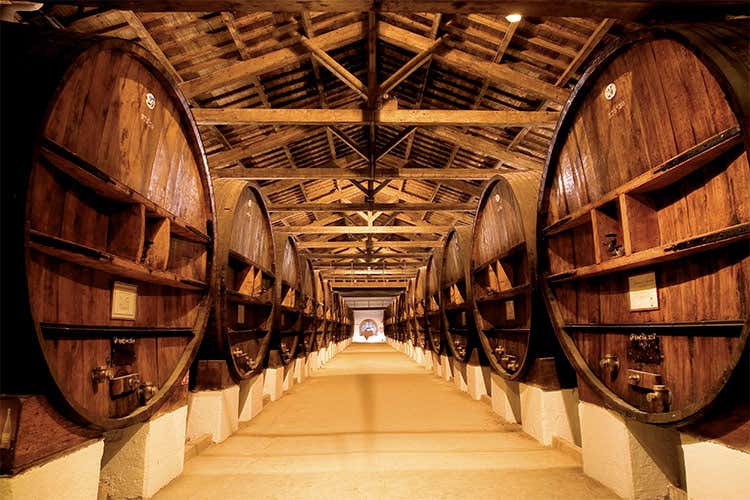 Vranken-Pommery sceglie il bio nel Domaine Royal de Jarras Vranken-Pommery sceglie il bio nel Domaine Royal de Jarras