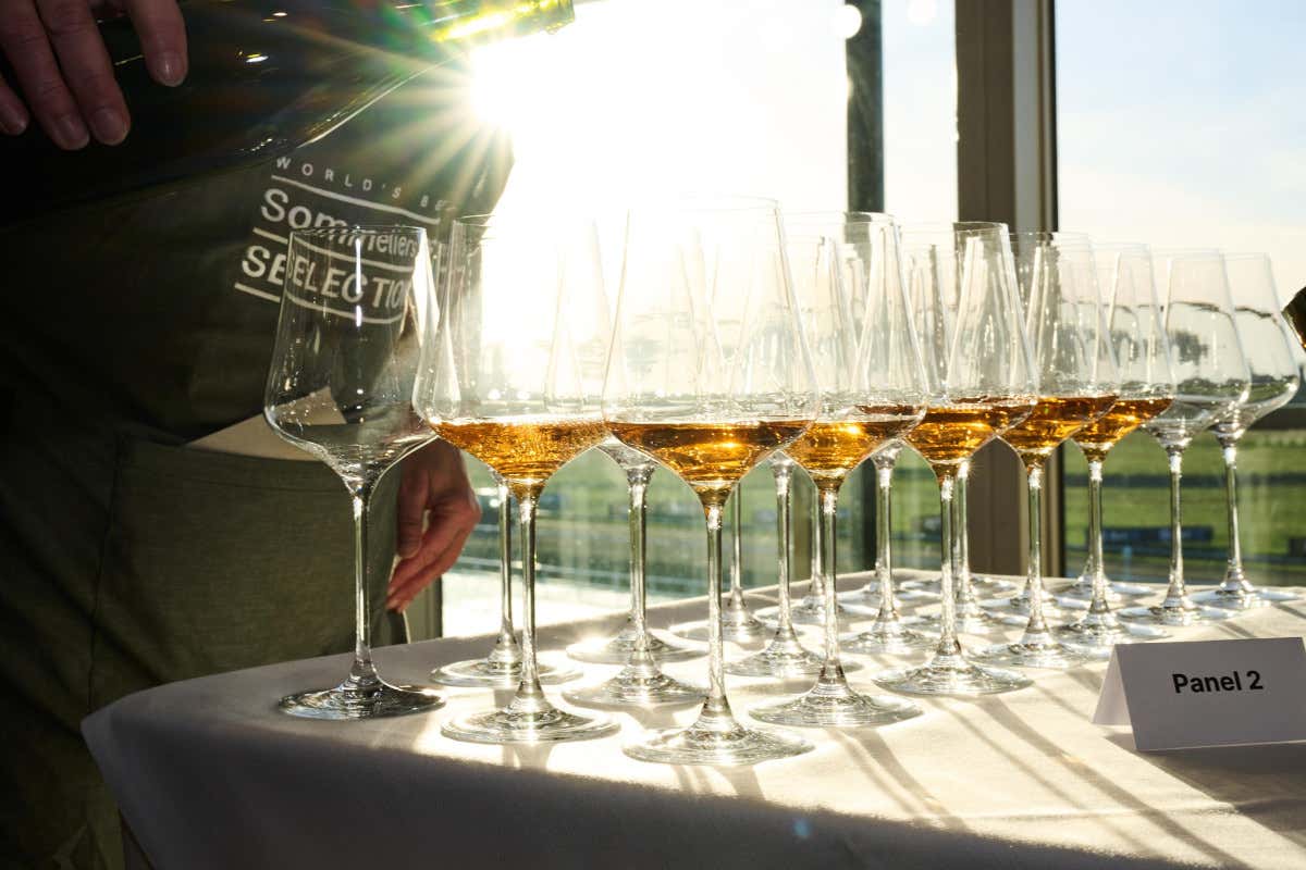 L’Italia guida la selezione 2026 dei vini scelti dai sommelier del mondo