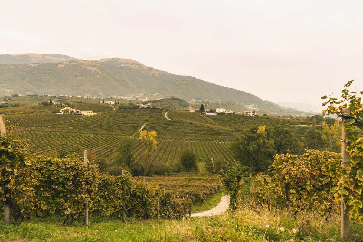 Bellussi, il Belcanto del Prosecco in piazza San Marco con il teatro La Fenice