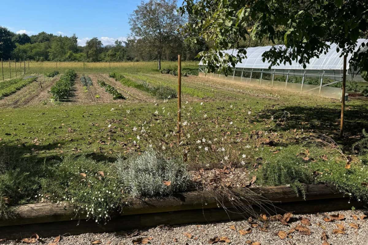 Nel Novarese c’è un casale del Cinquecento che è diventato un rifugio gourmet Nel Novarese c’è un casale del Cinquecento che è diventato un rifugio gourmet