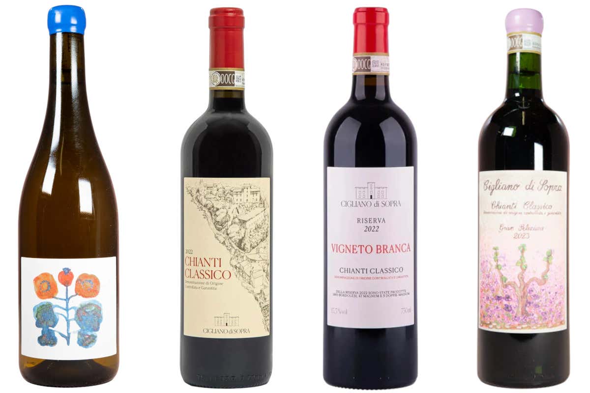 Cigliano di Sopra, quando recuperare la tradizione significa creare vini contemporanei