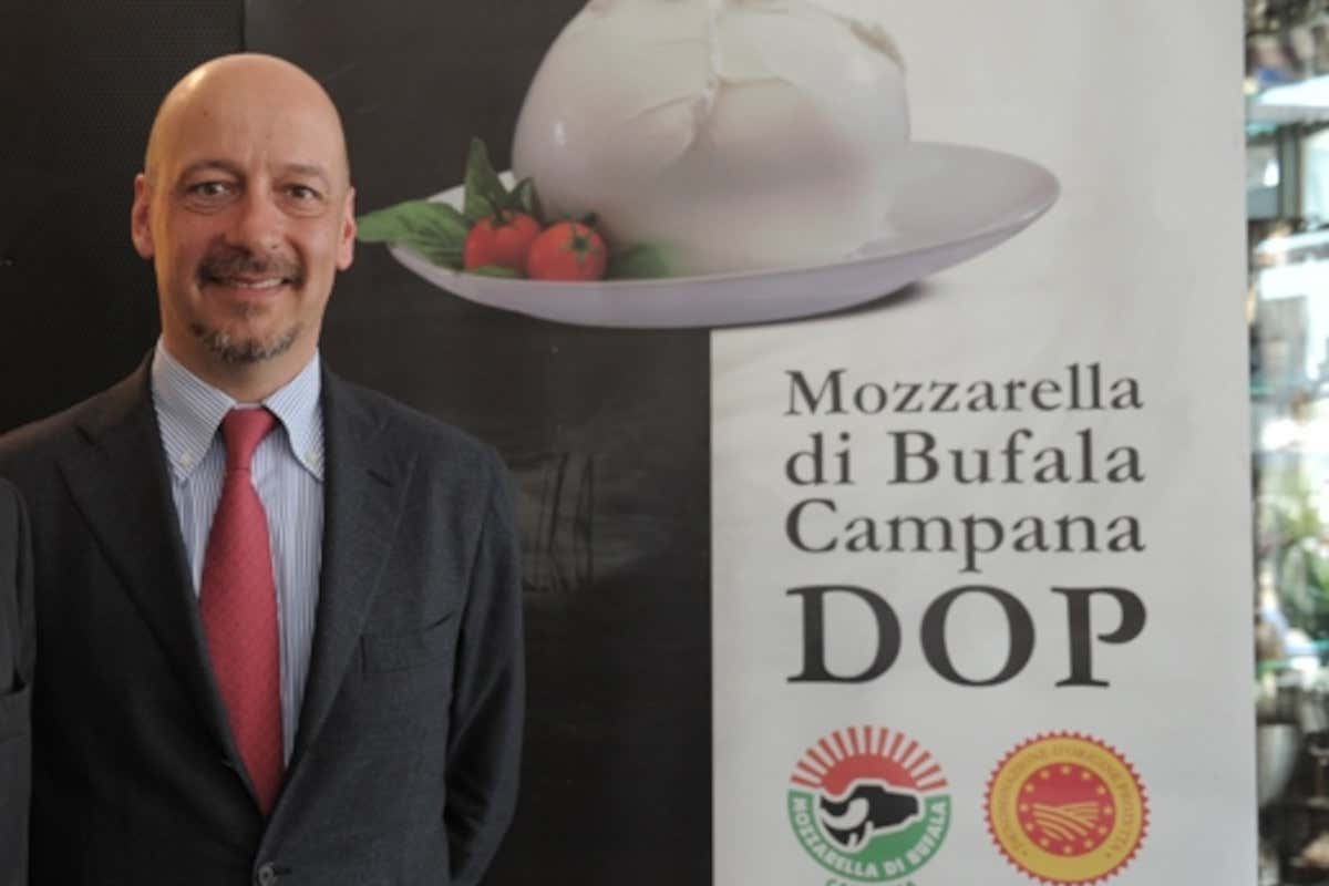 Guerra in Iran, primi effetti sui conti delle famiglie: rincara la mozzarella? Guerra in Iran, primi effetti sui conti delle famiglie: rincara la mozzarella?