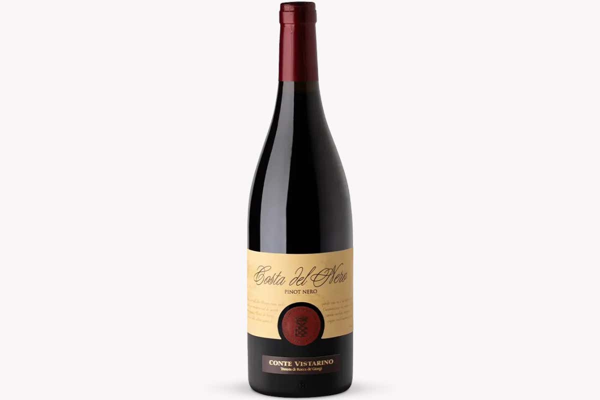 Oltrepò, Costa del Nero 2022: il Pinot Nero di Conte Vistarino con il “wow factor”