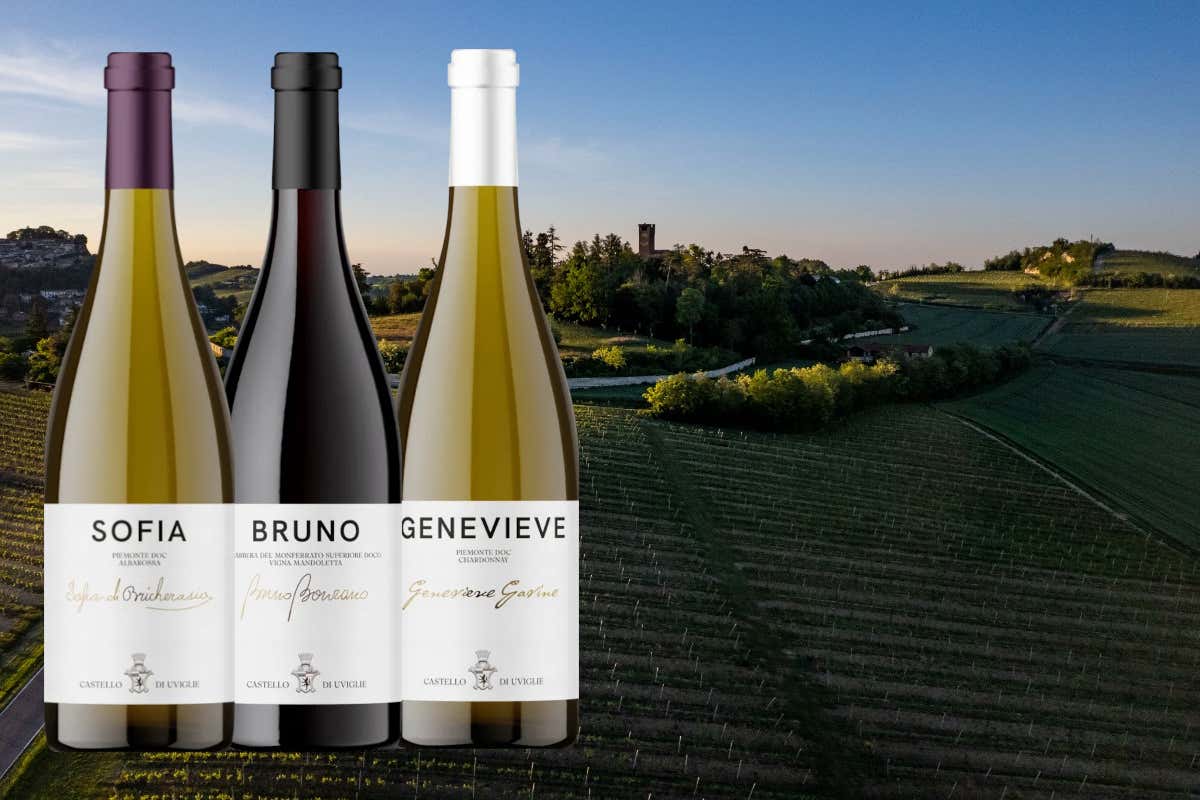 Cantina Castello di Uviglie: una storia tra vino, territorio e famiglia nel Monferrato