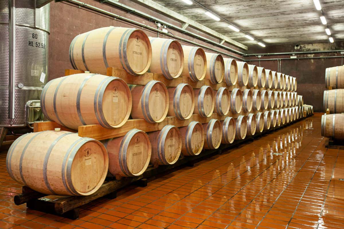 Dal Sangiovese al Nerello Mascalese: il progetto che unisce Poggibonsi e l’Etna