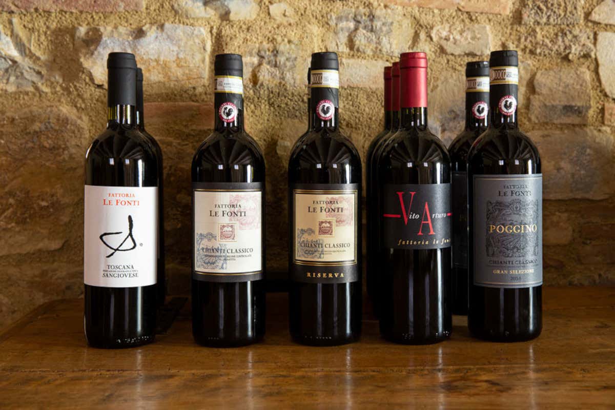 Dal Sangiovese al Nerello Mascalese: il progetto che unisce Poggibonsi e l’Etna