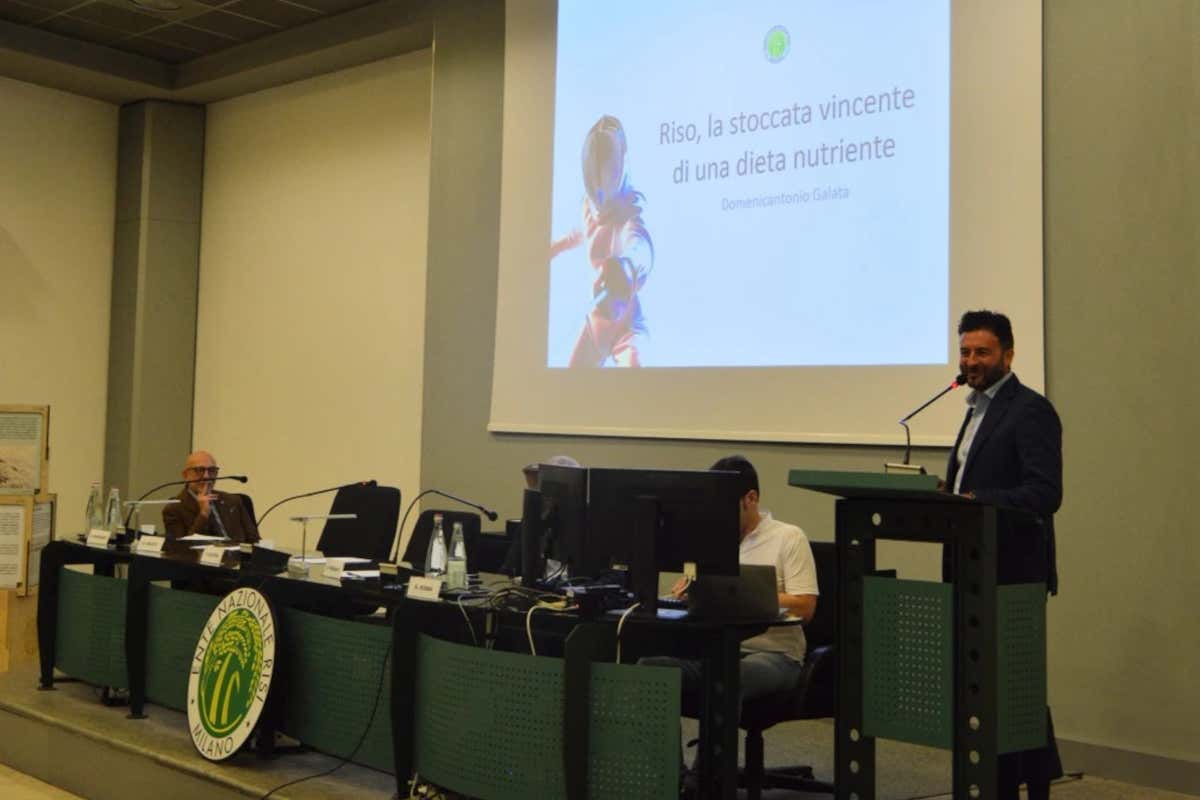 Riso italiano e salute: le tecniche di cottura che preservano nutrienti e vitamine